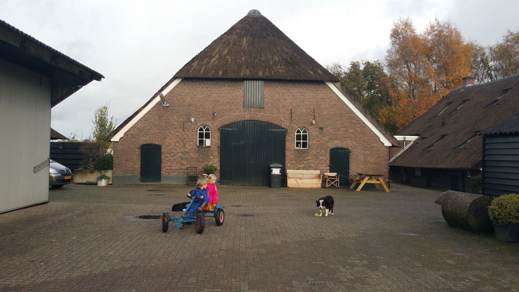 Koe in de Kost boerderij