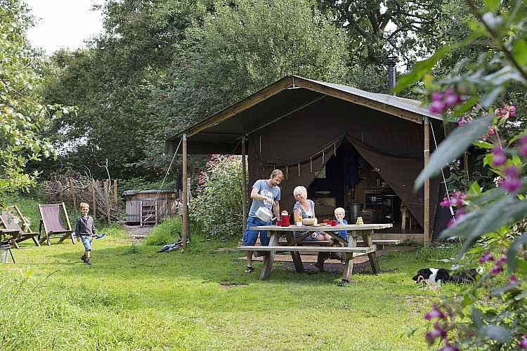 Camping Nederland