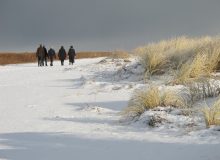 Schiermonnikoog sneeuw