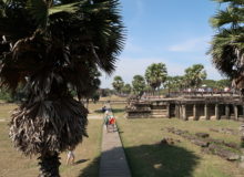 angkor wat