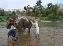 Olifanten opvang Luang Prabang