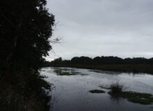 Pannenhoef natuurgebied rondom Breda